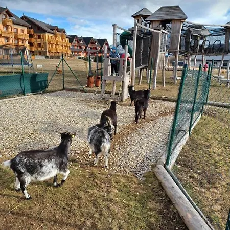 Mirka - Tatra Mountain G104 Kakaslomnic