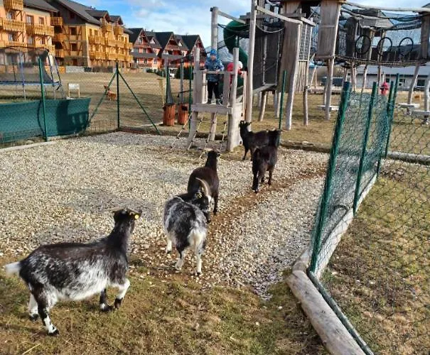 Mirka - Tatra Mountain G104 Велька-Ломница